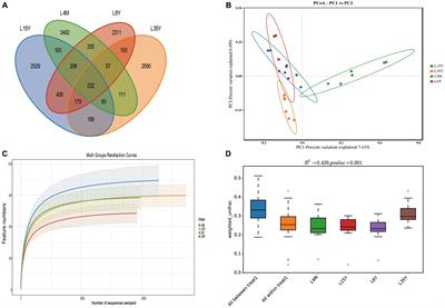 Multi-omics revealed rumen microbiota metabolism and host immune regulation in <mark class="highlighted">Tibetan sheep</mark> of different ages